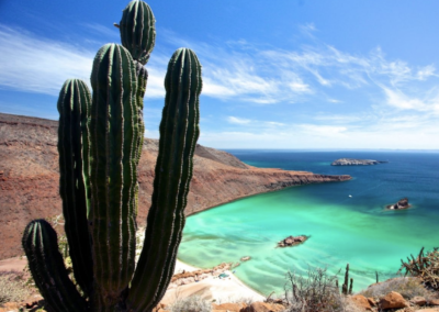 Mexiko – Cortez sea 25